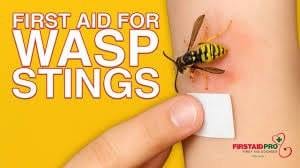 Homeopathic Remedies for Wasp Sting