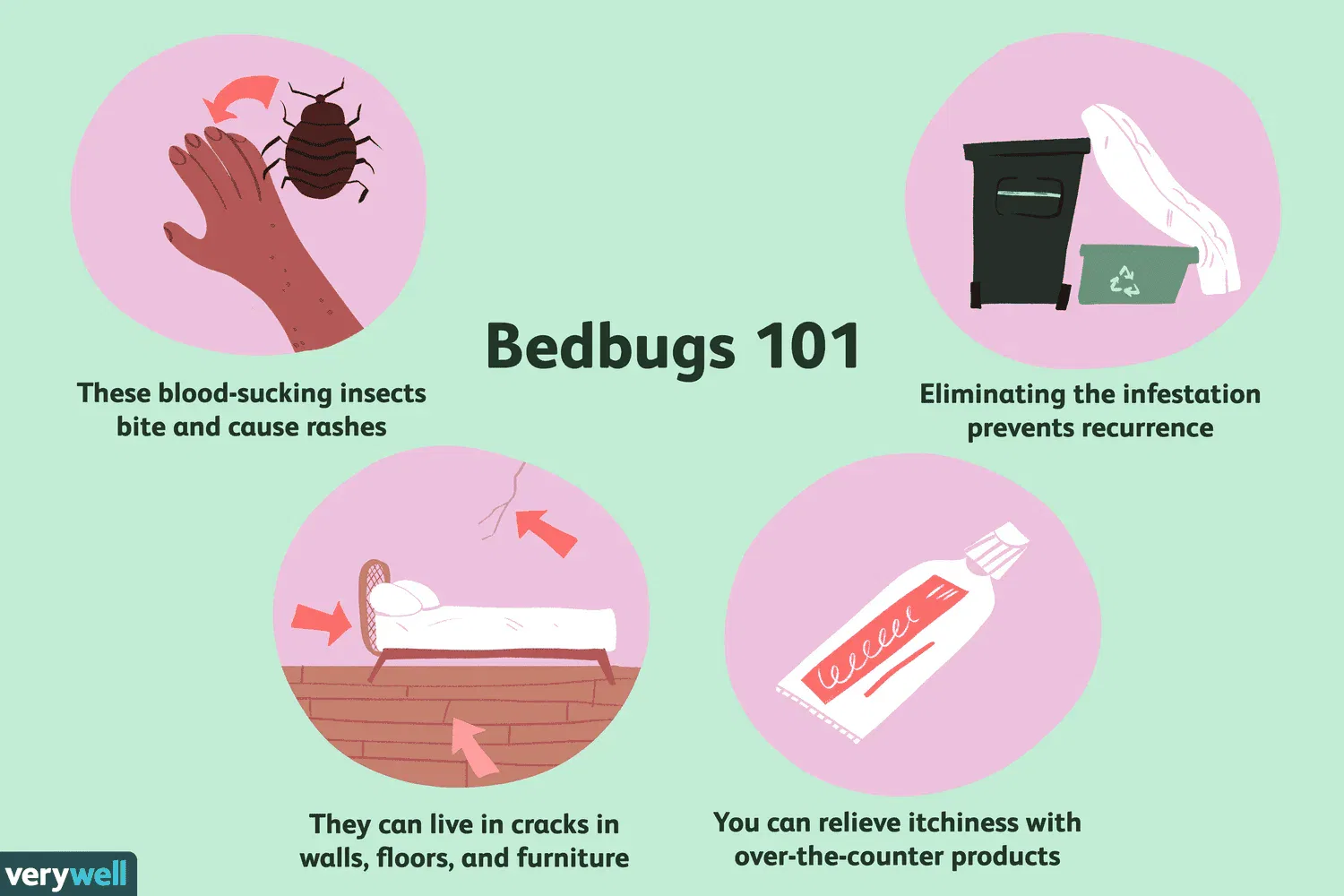 Anti Itch Remedies for Bed Bugs