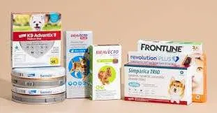 Best Flea and Tick Prevention for Dogs