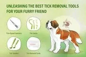 Best Tick Removal Tool for Dogs and Humans