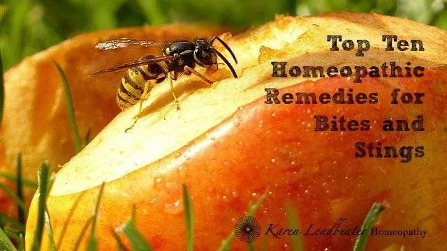 Homeopathic Remedies for Wasp Stings