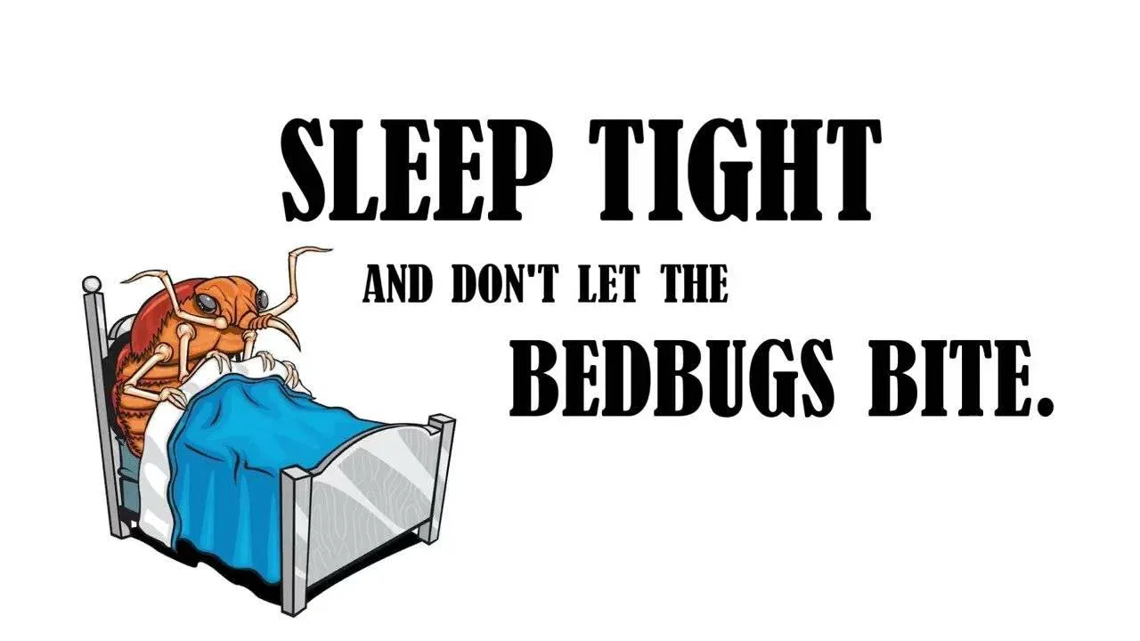 Sleep Tight Don’t Let the Bedbugs Bite