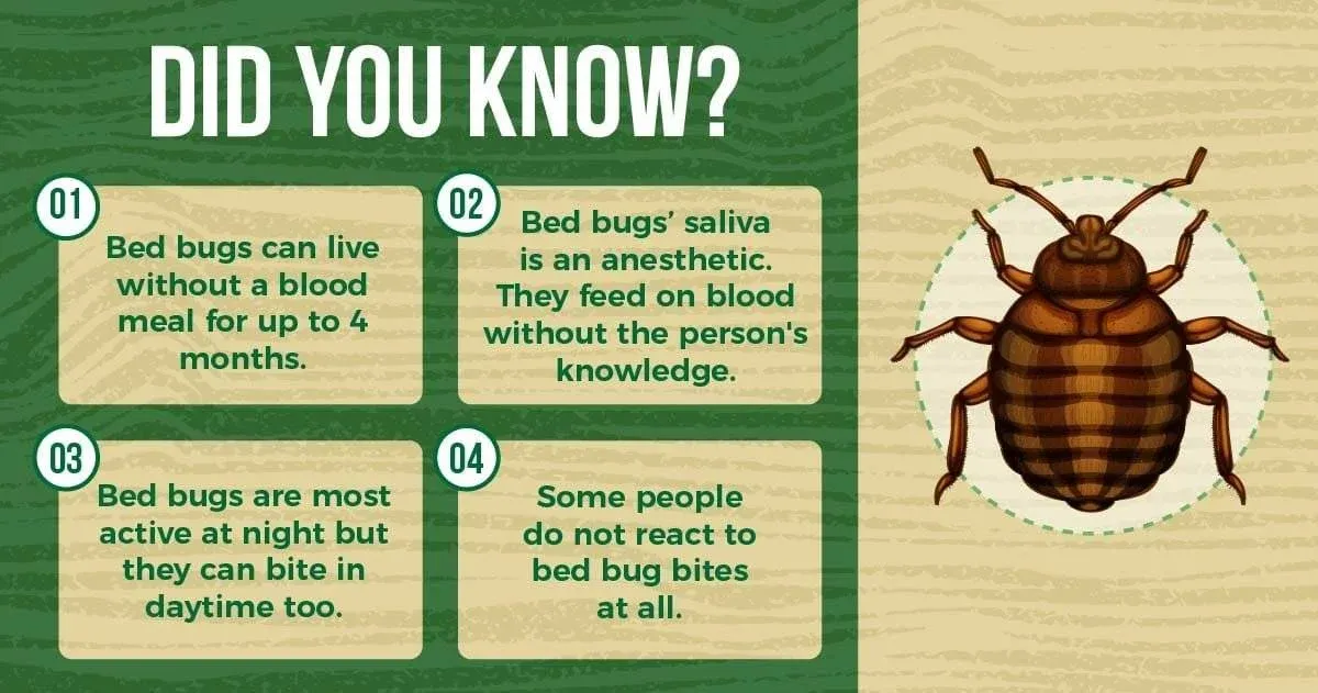 Bed Bug Tips