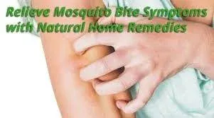 Mosquito Bite Swelling Remedy