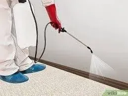 Flea Control for Carpets and Furniture