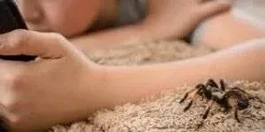 Take Child to Doctor for Spider Bite