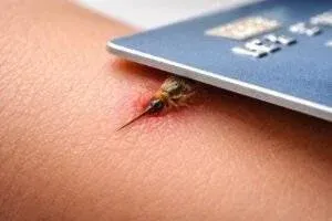 Emergency First Aid for Stings